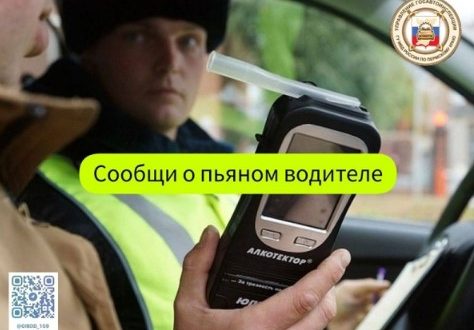 В ГАИ создали чат-бот, в котором можно пожаловаться на пьяного водителя и получить награду